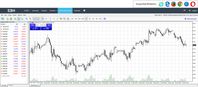 Web Terminal Metatrader Ebh Forex - 